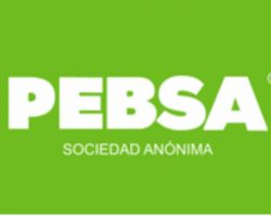 Logo_PEBSA